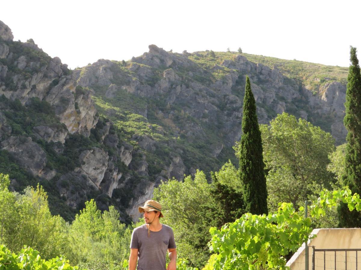 Villa Ripaud, Private River Swimming, Hot Tub Villeseque-des-Corbieres Zewnętrze zdjęcie